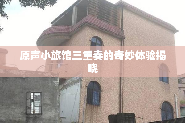 原声小旅馆三重奏的奇妙体验揭晓