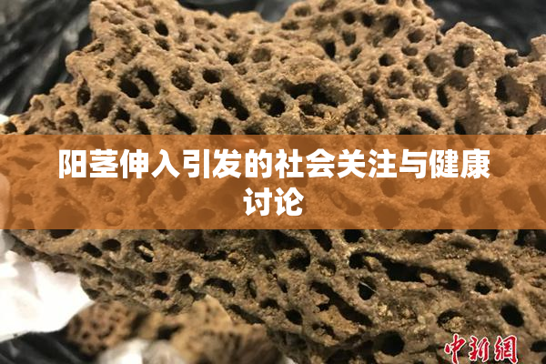 阳茎伸入引发的社会关注与健康讨论