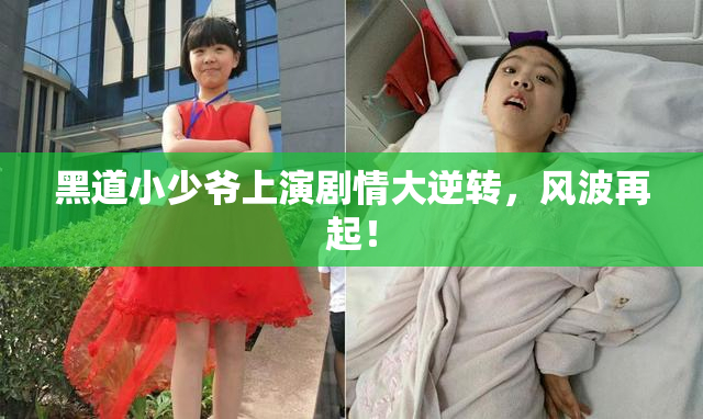 黑道小少爷上演剧情大逆转，风波再起！