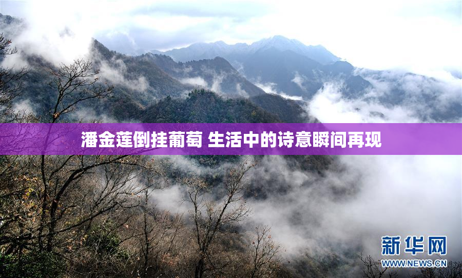 潘金莲倒挂葡萄 生活中的诗意瞬间再现