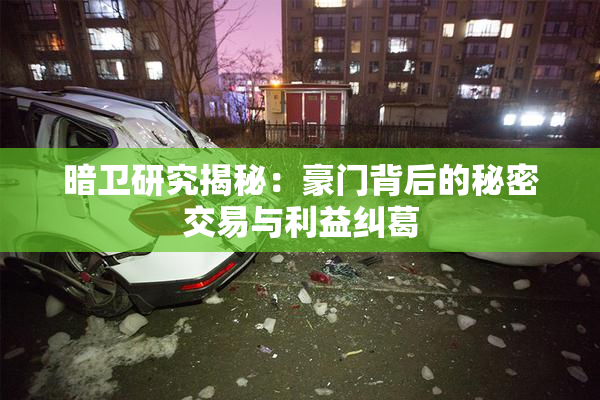 暗卫研究揭秘：豪门背后的秘密交易与利益纠葛