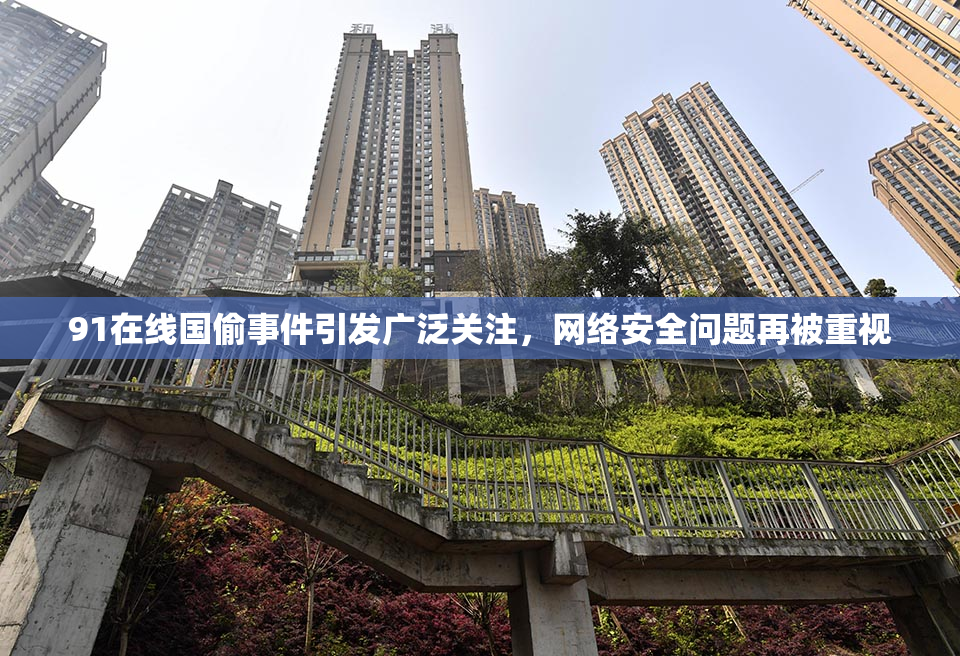91在线国偷事件引发广泛关注，网络安全问题再被重视