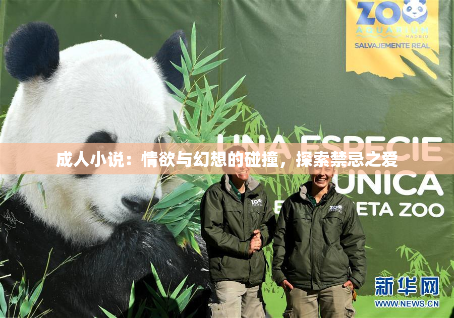成人小说：情欲与幻想的碰撞，探索禁忌之爱