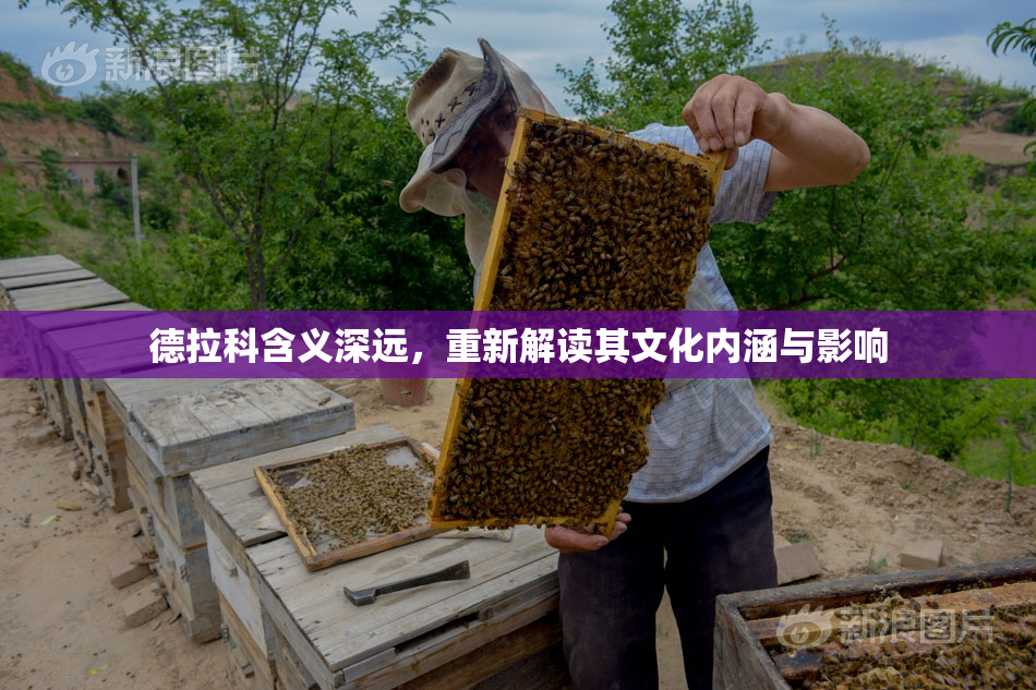 德拉科含义深远，重新解读其文化内涵与影响