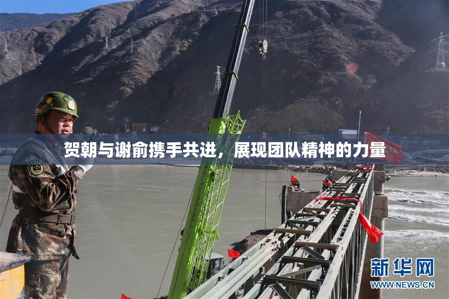 贺朝与谢俞携手共进，展现团队精神的力量