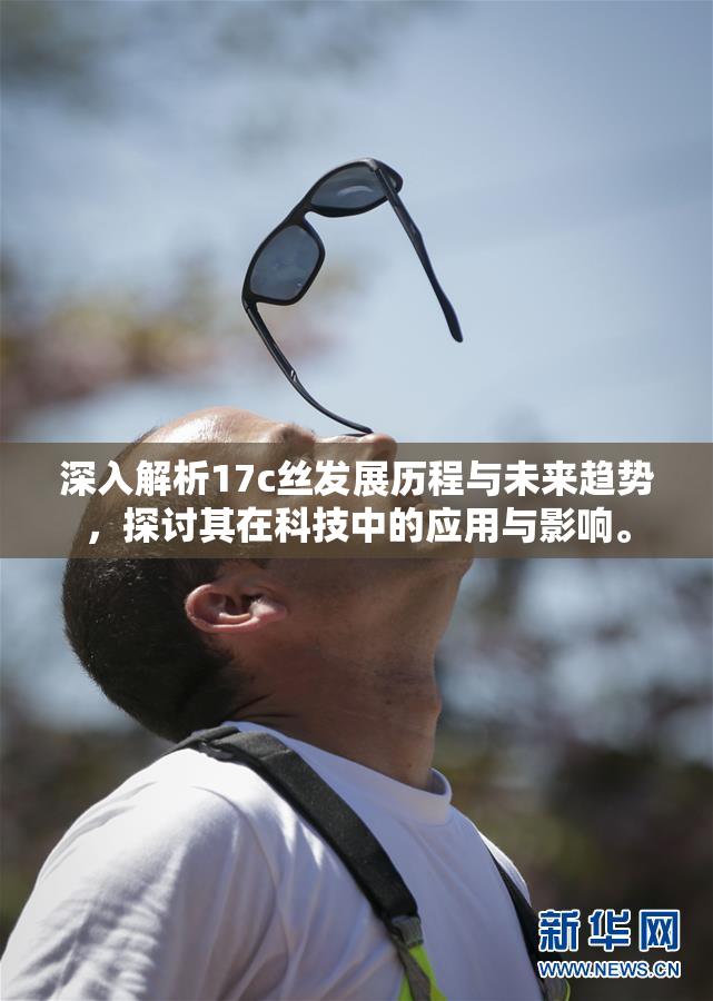 深入解析17c丝发展历程与未来趋势，探讨其在科技中的应用与影响。
