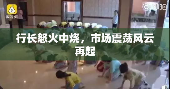 行长怒火中烧，市场震荡风云再起