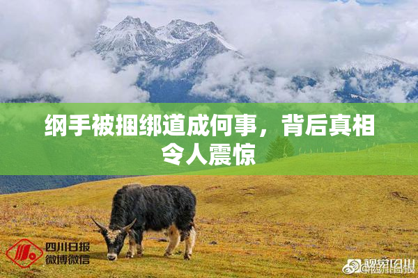 纲手被捆绑道成何事，背后真相令人震惊