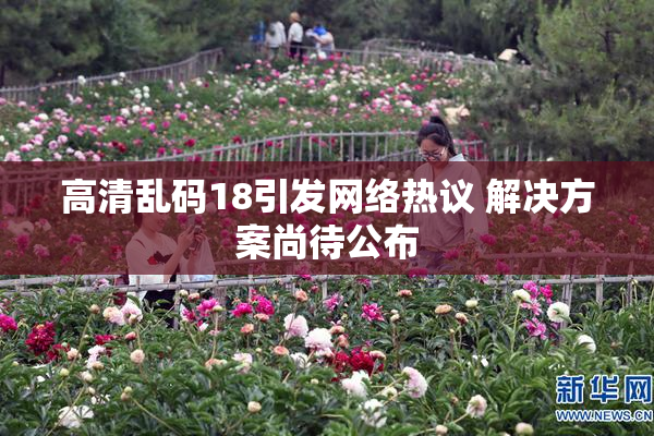 高清乱码18引发网络热议 解决方案尚待公布