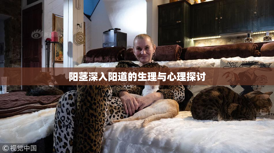 阳茎深入阳道的生理与心理探讨
