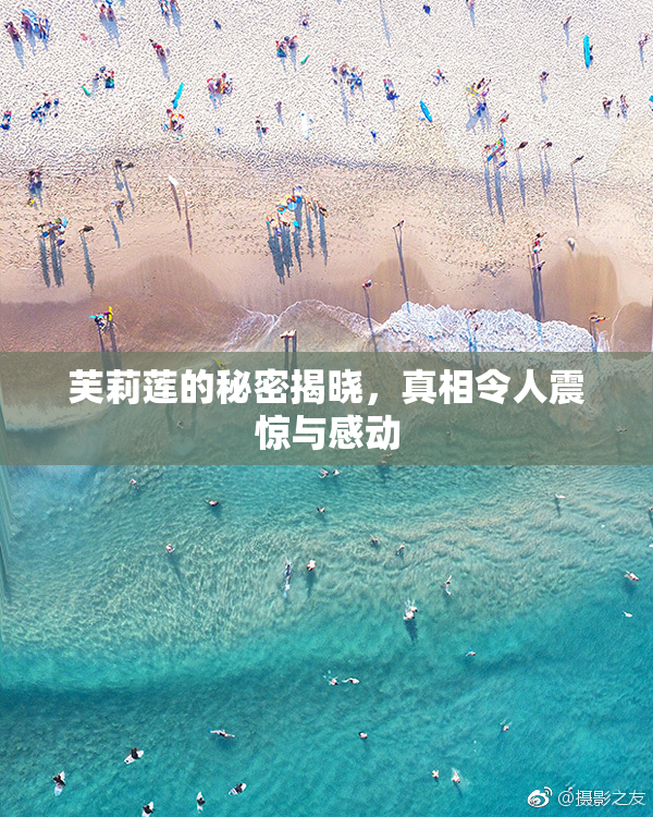 芙莉莲的秘密揭晓，真相令人震惊与感动