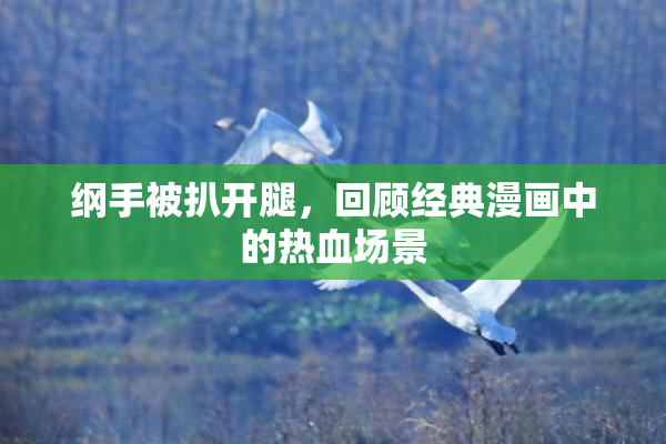 纲手被扒开腿，回顾经典漫画中的热血场景