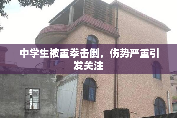 中学生被重拳击倒，伤势严重引发关注