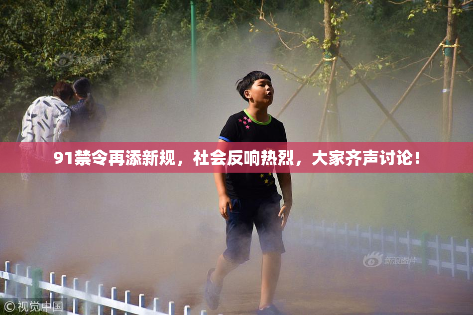 91禁令再添新规，社会反响热烈，大家齐声讨论！