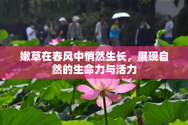 嫩草在春风中悄然生长，展现自然的生命力与活力