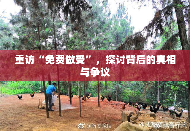 重访“免费做受”，探讨背后的真相与争议