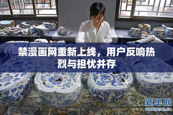 禁漫画网重新上线，用户反响热烈与担忧并存