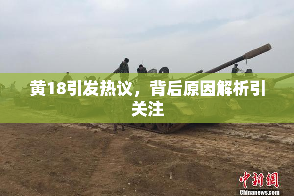 黄18引发热议，背后原因解析引关注