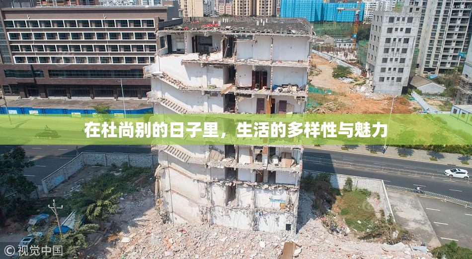 在杜尚别的日子里，生活的多样性与魅力