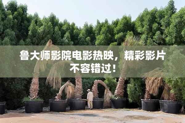 鲁大师影院电影热映，精彩影片不容错过！