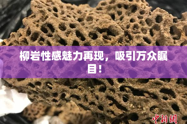 柳岩性感魅力再现，吸引万众瞩目！