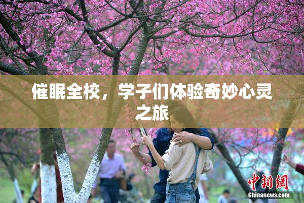 催眠全校，学子们体验奇妙心灵之旅