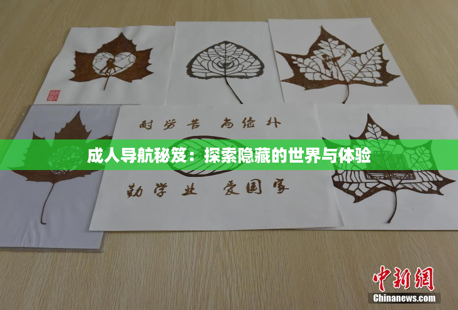 成人导航秘笈：探索隐藏的世界与体验