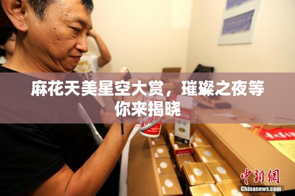 麻花天美星空大赏，璀璨之夜等你来揭晓