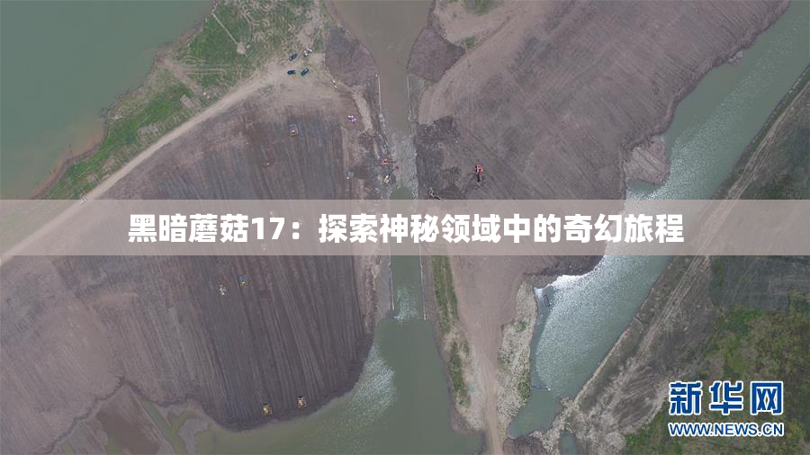 黑暗蘑菇17：探索神秘领域中的奇幻旅程