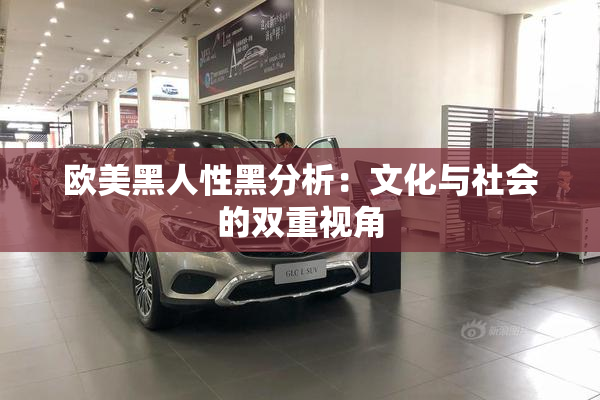 欧美黑人性黑分析：文化与社会的双重视角