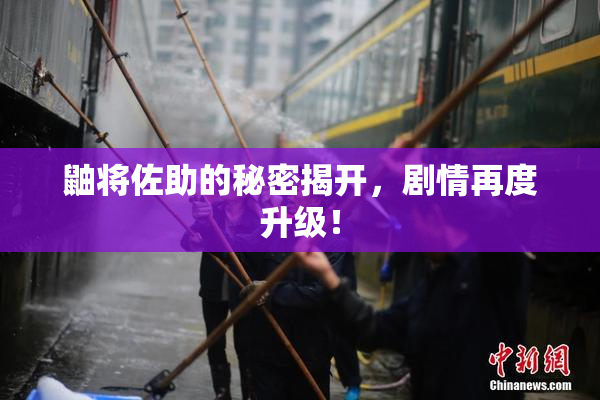 鼬将佐助的秘密揭开，剧情再度升级！