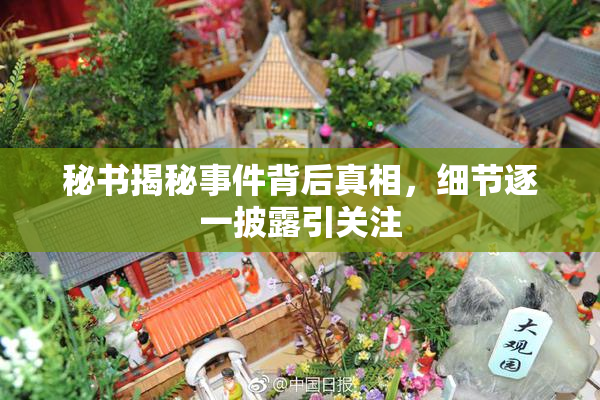 秘书揭秘事件背后真相，细节逐一披露引关注
