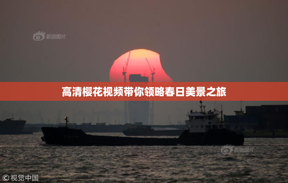 高清樱花视频带你领略春日美景之旅