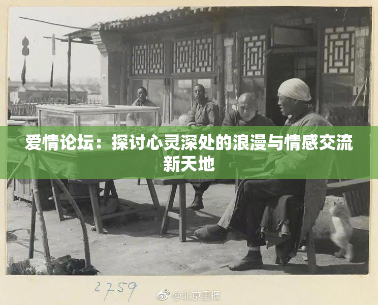 爱情论坛：探讨心灵深处的浪漫与情感交流新天地