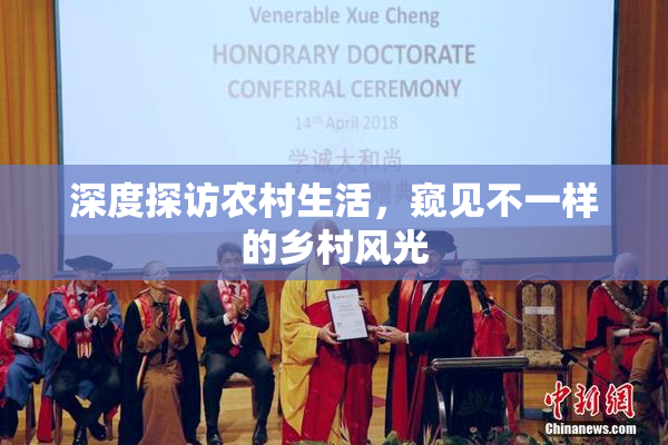 深度探访农村生活，窥见不一样的乡村风光