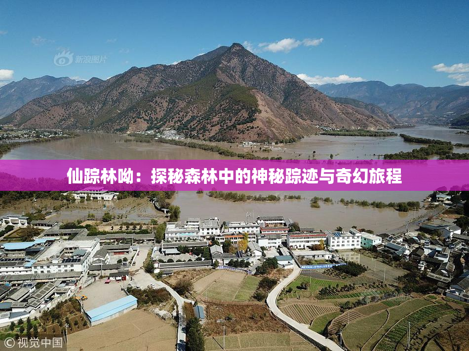 仙踪林呦：探秘森林中的神秘踪迹与奇幻旅程