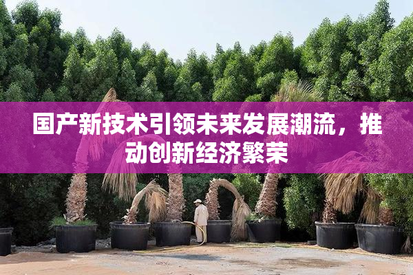 国产新技术引领未来发展潮流，推动创新经济繁荣