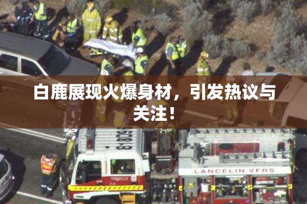 白鹿展现火爆身材，引发热议与关注！