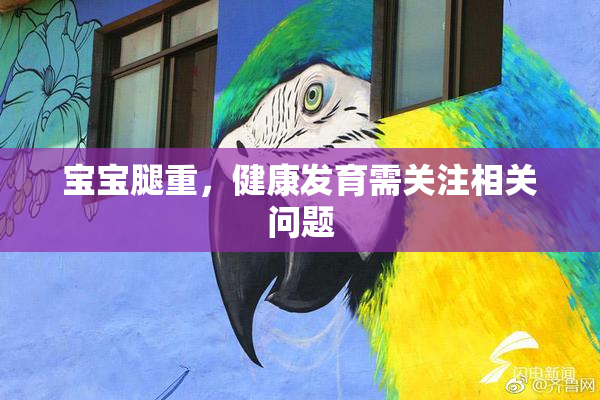 宝宝腿重，健康发育需关注相关问题