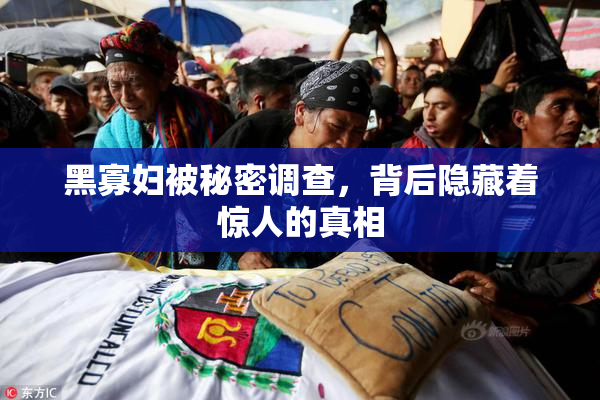 黑寡妇被秘密调查，背后隐藏着惊人的真相