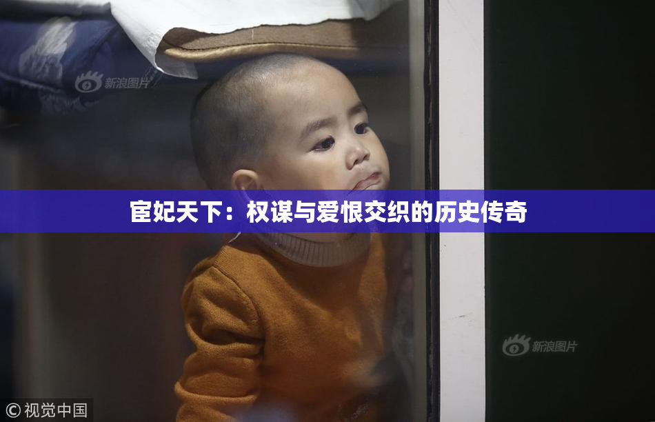 宦妃天下：权谋与爱恨交织的历史传奇
