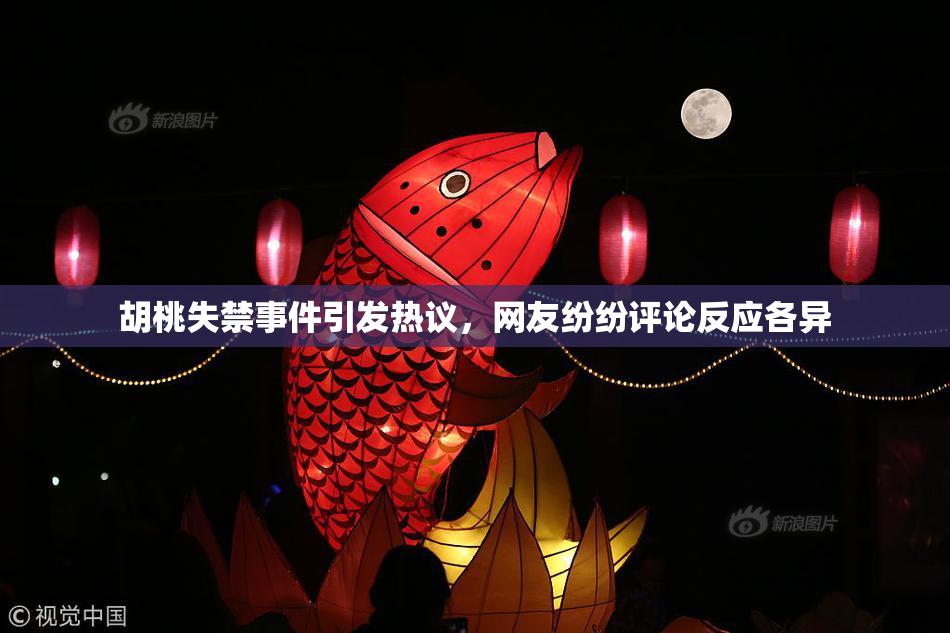 胡桃失禁事件引发热议，网友纷纷评论反应各异