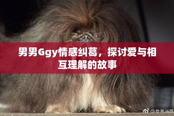 男男Ggy情感纠葛，探讨爱与相互理解的故事