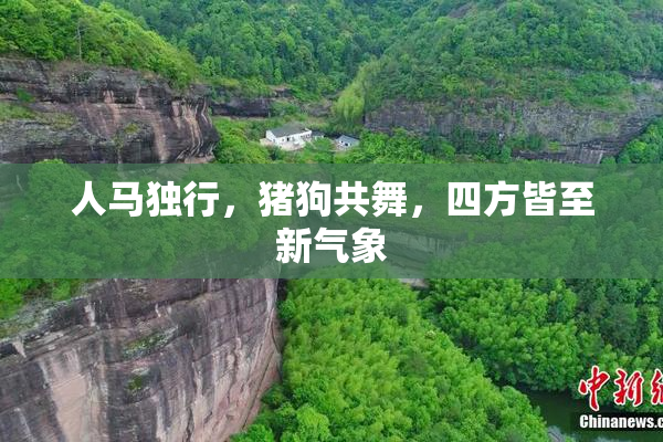 人马独行，猪狗共舞，四方皆至新气象