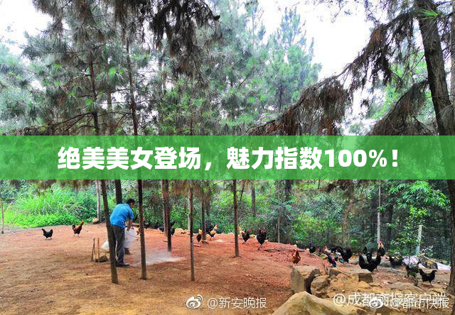 绝美美女登场，魅力指数100%！