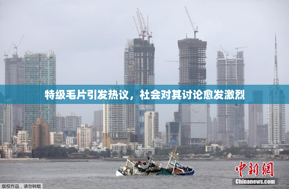 特级毛片引发热议，社会对其讨论愈发激烈