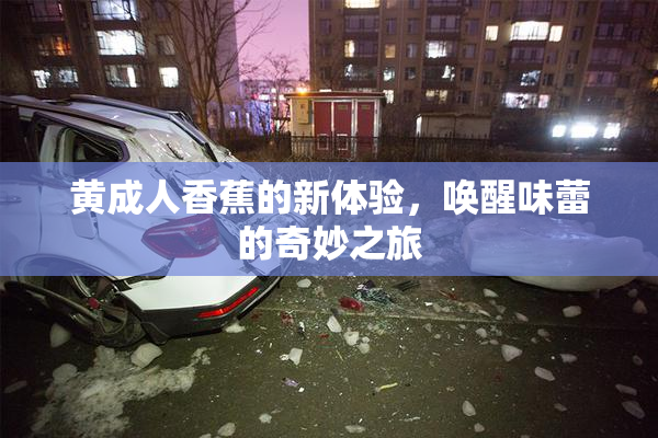 黄成人香蕉的新体验，唤醒味蕾的奇妙之旅