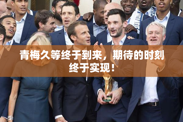 青梅久等终于到来，期待的时刻终于实现！