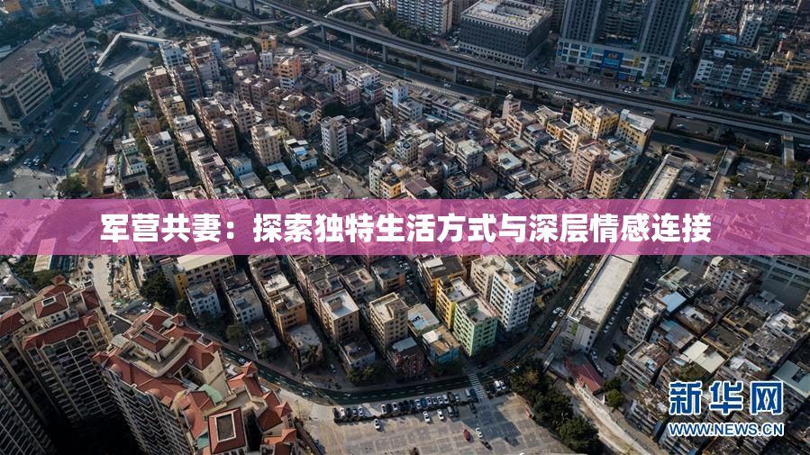 军营共妻：探索独特生活方式与深层情感连接