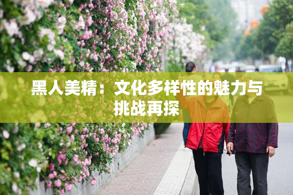 黑人美精：文化多样性的魅力与挑战再探
